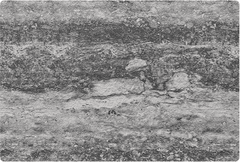 MCM Flexible Stone Panel – Urban Grey Striated Granite