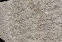 MCM Flexible Stone Panel – Gold-Veined Greige Stone