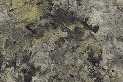 MCM Flexible Stone Panel – Rainforest Moss Stone